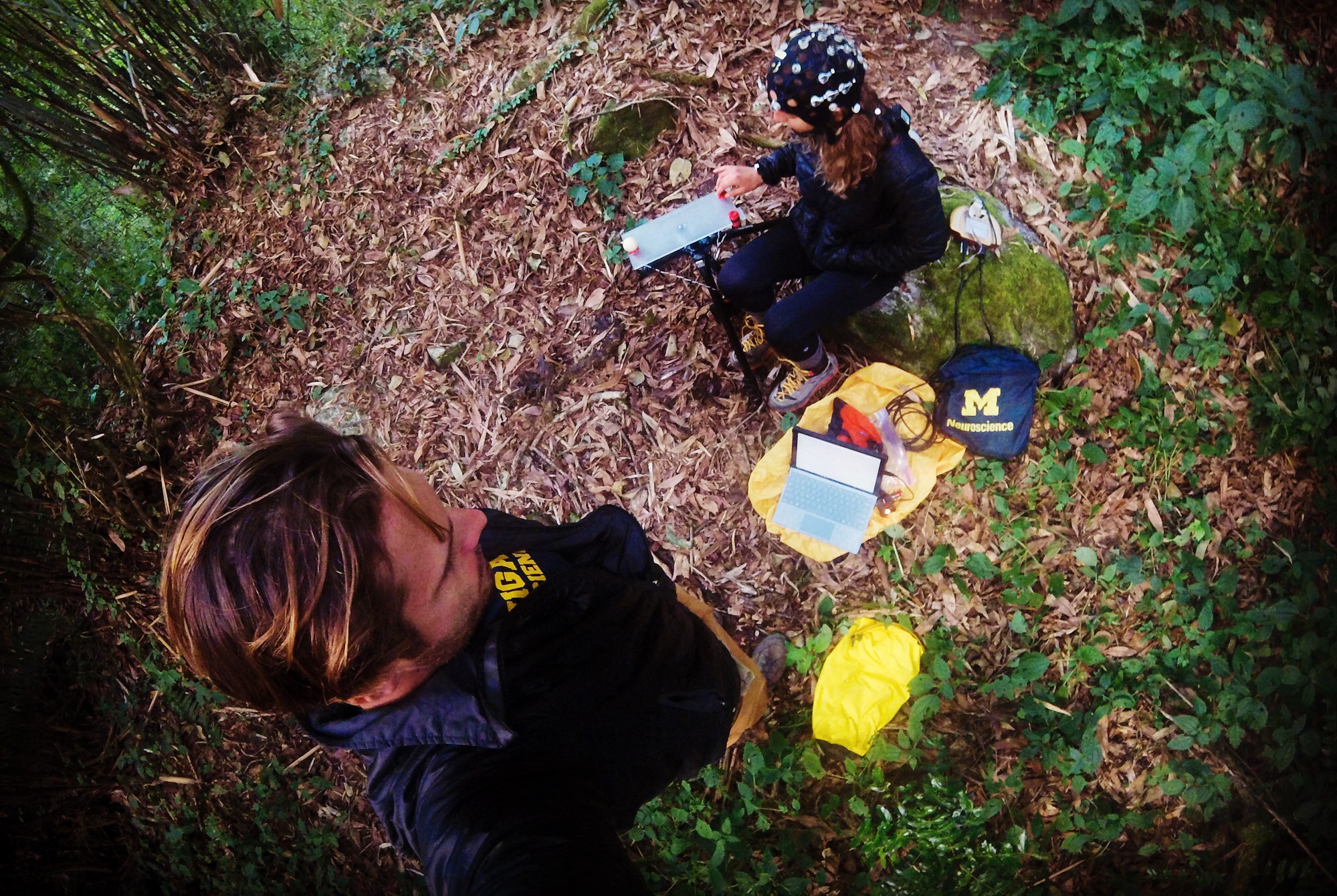 Nov 13.3, 2016 Bamboo village is a jungle of power lines. We have to again venture far into the forest to find reprieve from what is precisely a 52.5 Hz buzz, since I'm not keen on notch filtering the entire dataset. We integrate an "imagined" trial once every minute into our reaching task. This might offer the ability to assess if changes in brain activity are preferentially associated with movement itself or simply movement preparation.