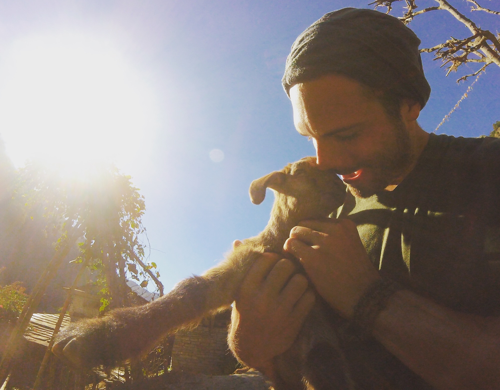 Nov 14.1, 2016 I almost stole this baby goat. Walking into Ghorepani we saw an entire flock of them being tamed by a small boy. We ran down the rock steps like little kids towards him—Namaste! Then I pantomimed picking one up. The boy nodded.