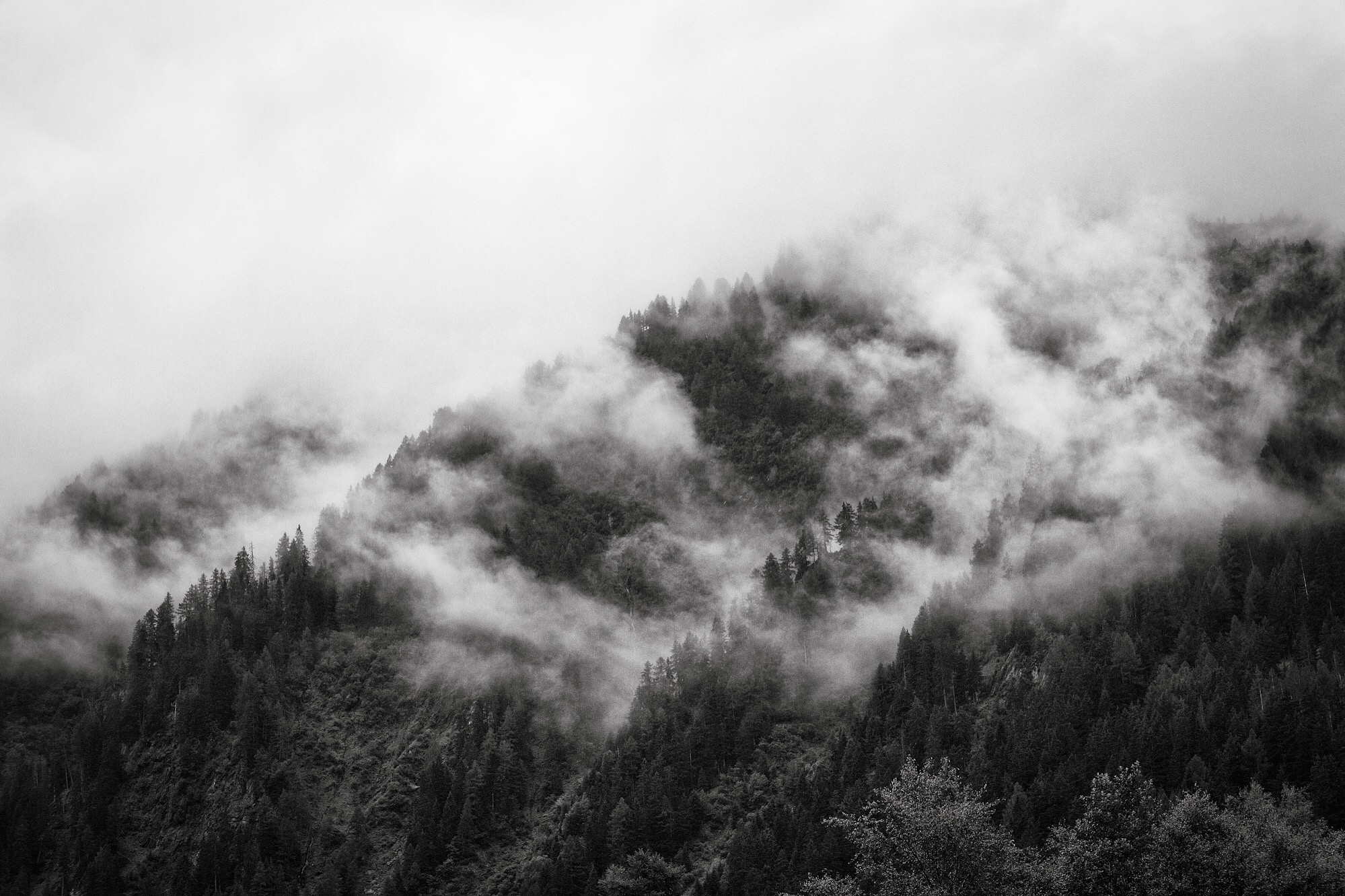 Day 3: Trient, Valais Before morning, mist pelts a bivy window and fog wanders like smoke in the hills.