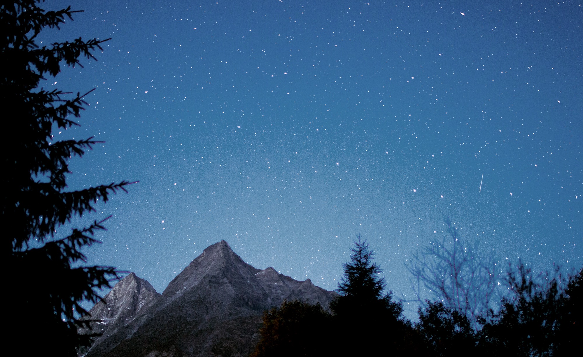 Day 7: Les Haudères, Valais, Switzerland 35mm locked at f/1.4, ISO 2000. 2 AM beeps the bivy watch, for a zipper past the mesh, of the heavens beyond the pines, above the columned beasts.