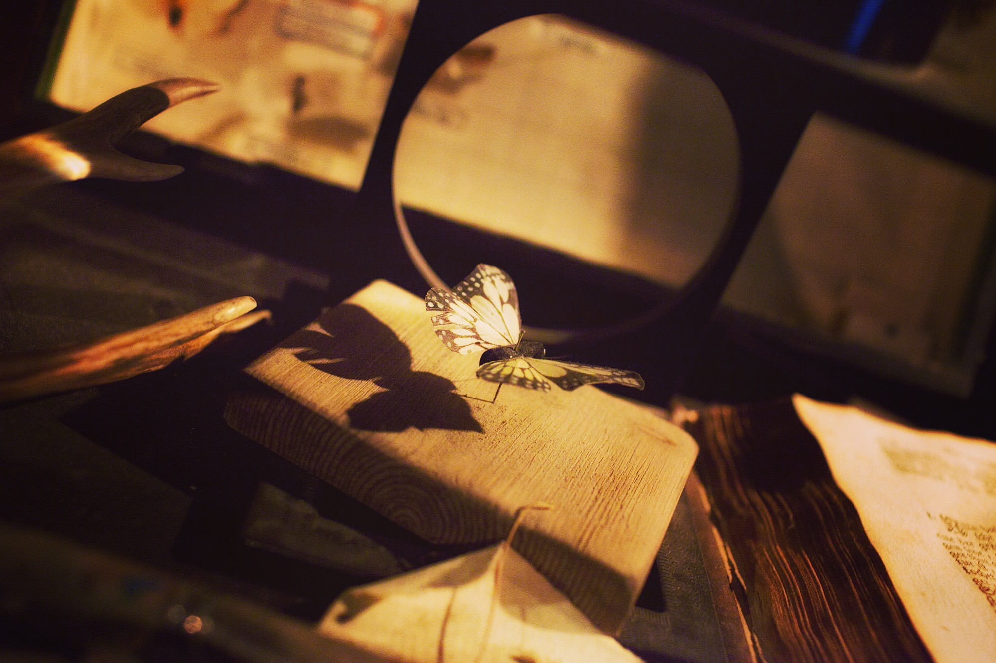 Day 9: Matterhorn Museum Zermatlantis The unmistakable markings of the monarch, sometimes called the "wanderer" butterfly. A perfect nickname, perched on this 18th century desk of a geologist, meteorologist, naturalist... Of the few scientists that came through Zermatt before modern times, many stayed in this 3-bed guest house of the local priest. One most notable, Horace-Bénédict de Saussure, made these mountains (from Mont Blanc to the Matterhorn) the prime focus of his academic pursuits, based in Geneva. He was a pioneer in the fields of chemistry, geology, botany and this burgeoning sport called 'mountaineering'. His four volume publication, Voyages dans les Alpes (1779-1796), undeniably spilled copious gas unto the fire that fueled Paccard and Balmat to the summit of Mont Blanc in 1786. Armed with barometers, thermometers, and sextants, Saussure pursued deep purpose in the outdoors and serves as inspiration to those wanderers—explorers—of today.