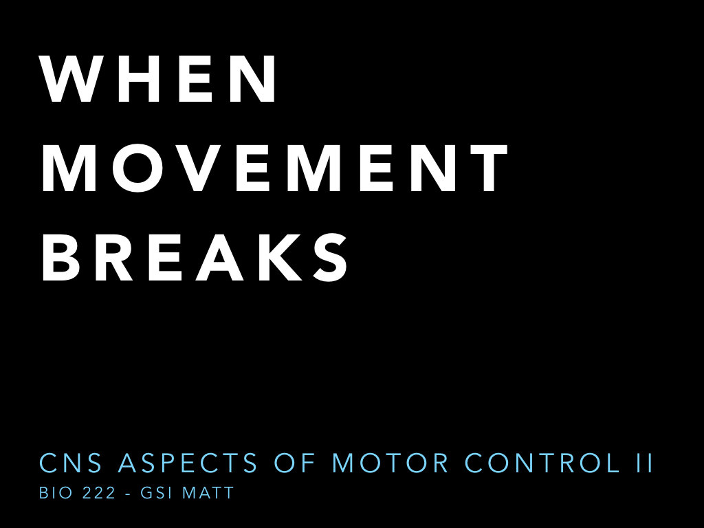 BIO222-GSI-Matt_CNS-Aspects-of-Motor-Control-II.001.jpeg