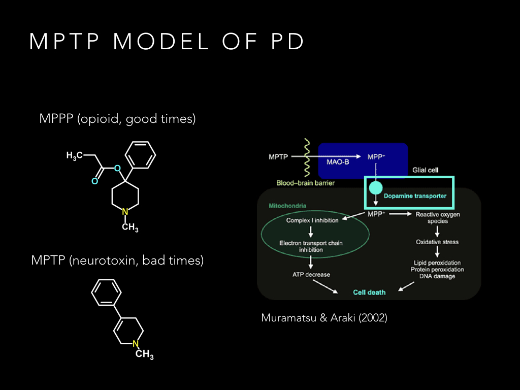 BIO222-GSI-Matt_CNS-Aspects-of-Motor-Control-II.005.jpeg