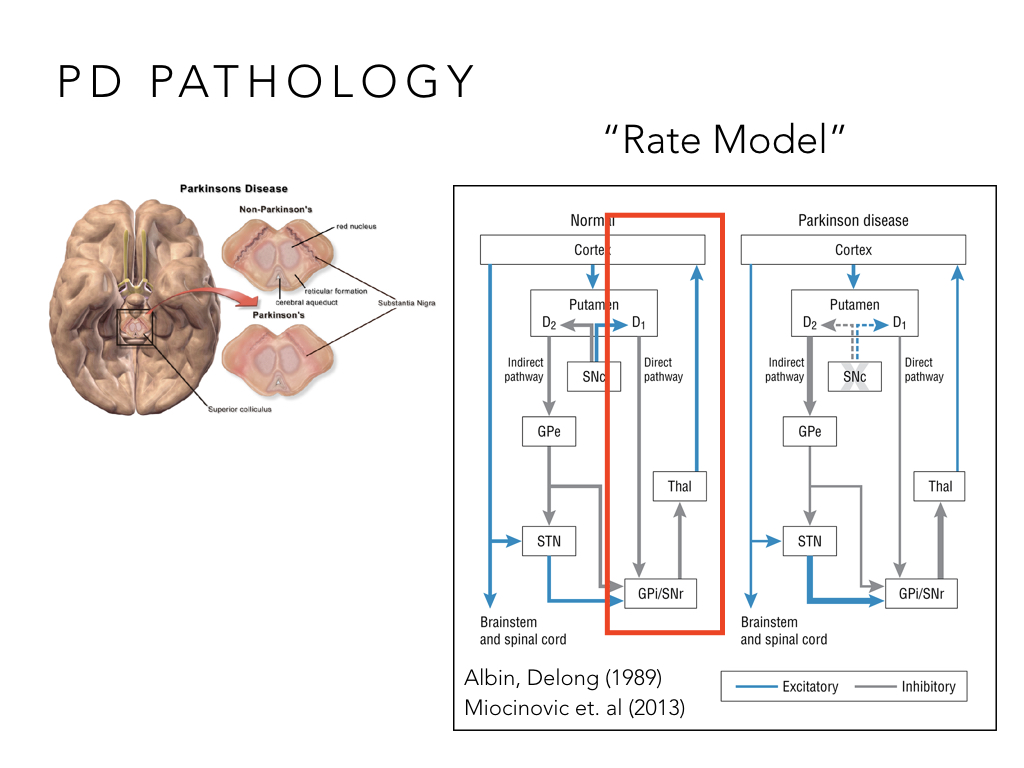 BIO222-GSI-Matt_CNS-Aspects-of-Motor-Control-II.007.jpeg
