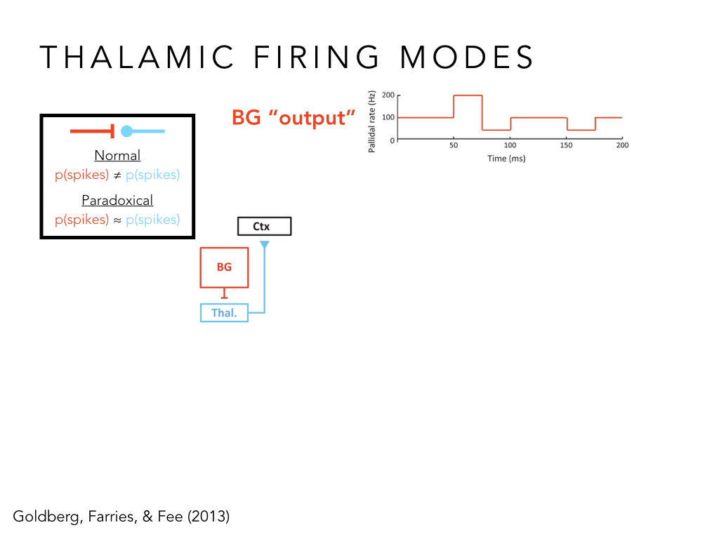 BIO222-GSI-Matt_CNS-Aspects-of-Motor-Control-II.021.jpeg