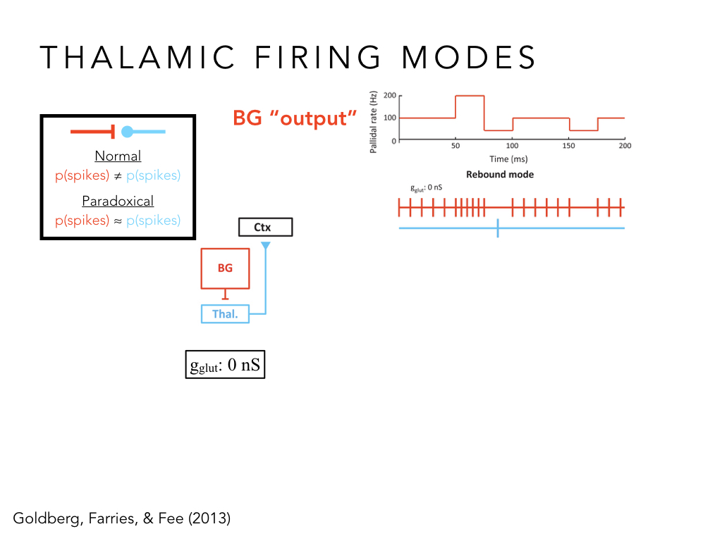BIO222-GSI-Matt_CNS-Aspects-of-Motor-Control-II.022.jpeg