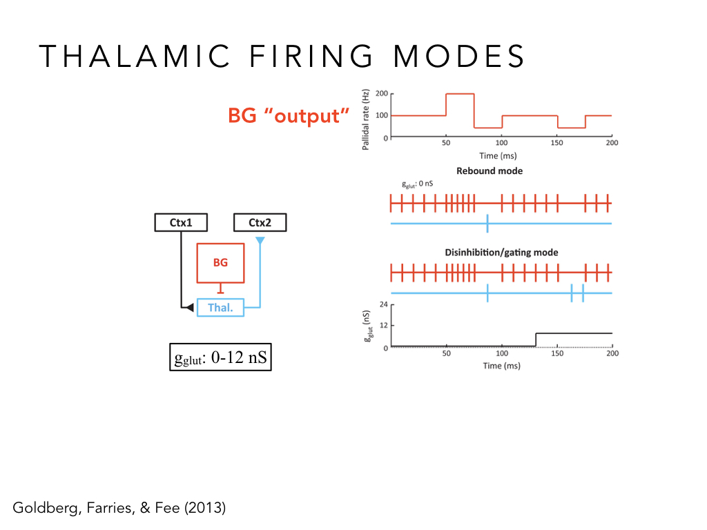 BIO222-GSI-Matt_CNS-Aspects-of-Motor-Control-II.023.jpeg