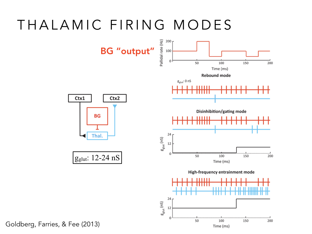 BIO222-GSI-Matt_CNS-Aspects-of-Motor-Control-II.024.jpeg