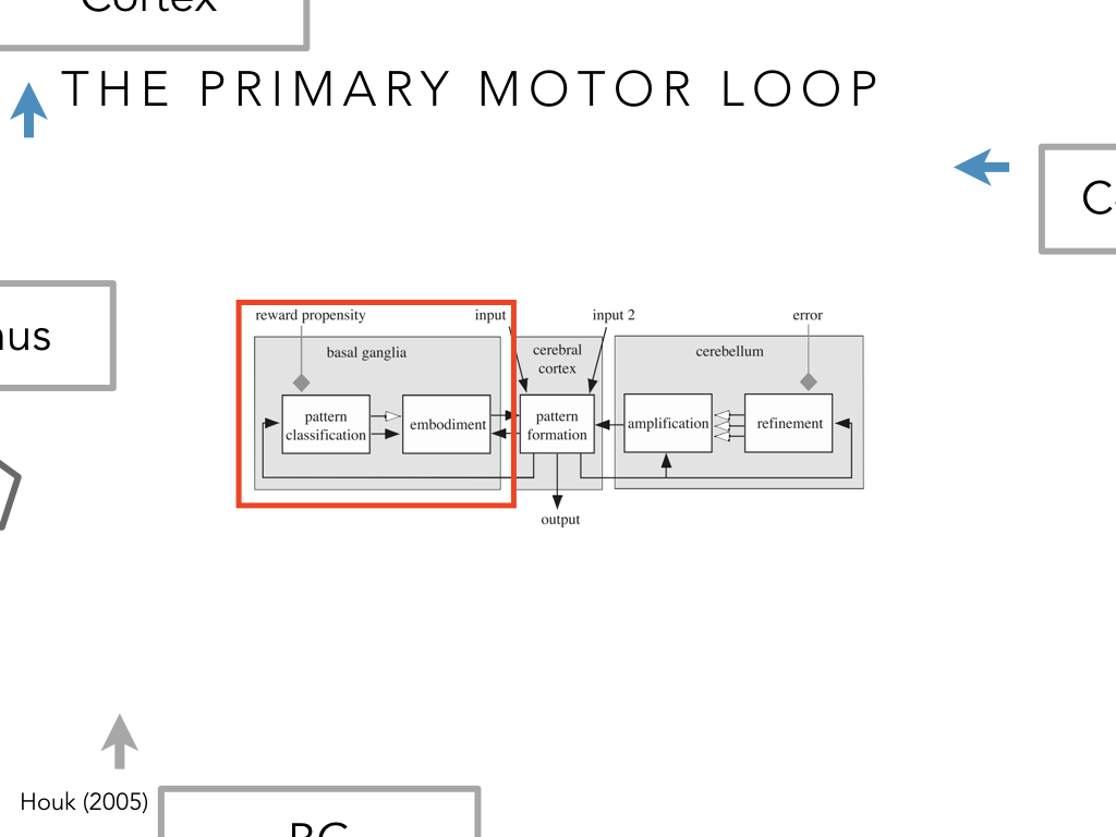 BIO222-GSI-Matt_CNS-Aspects-of-Motor-Control-II.028.jpeg