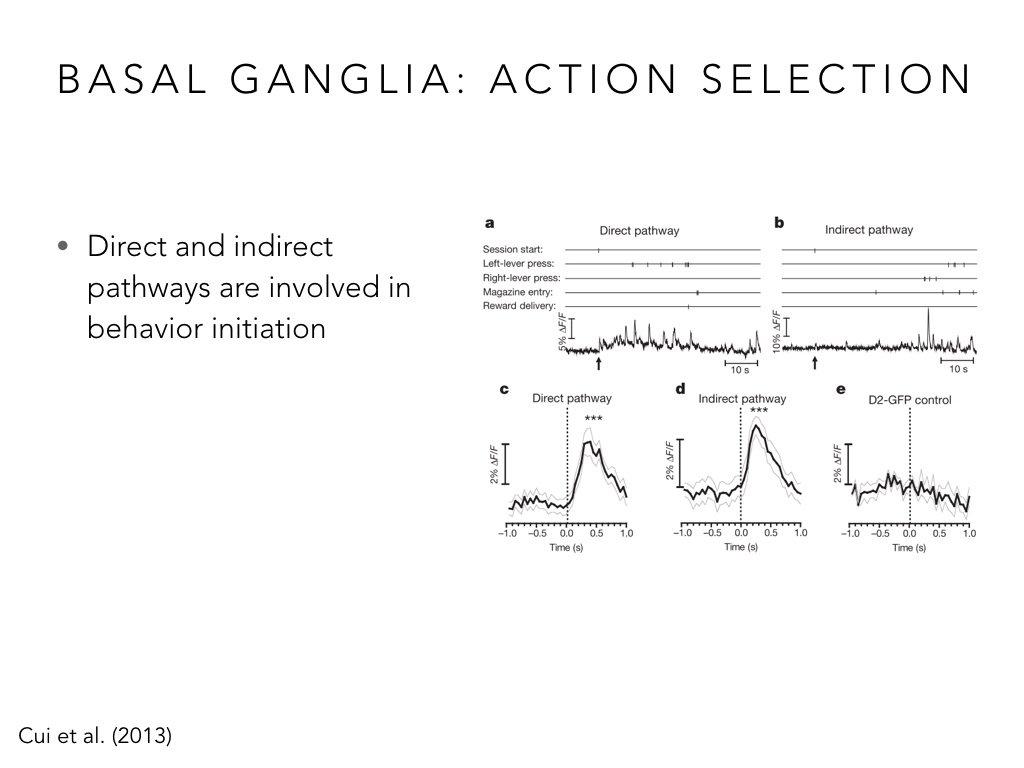 BIO222-GSI-Matt_CNS-Aspects-of-Motor-Control-II.033.jpeg