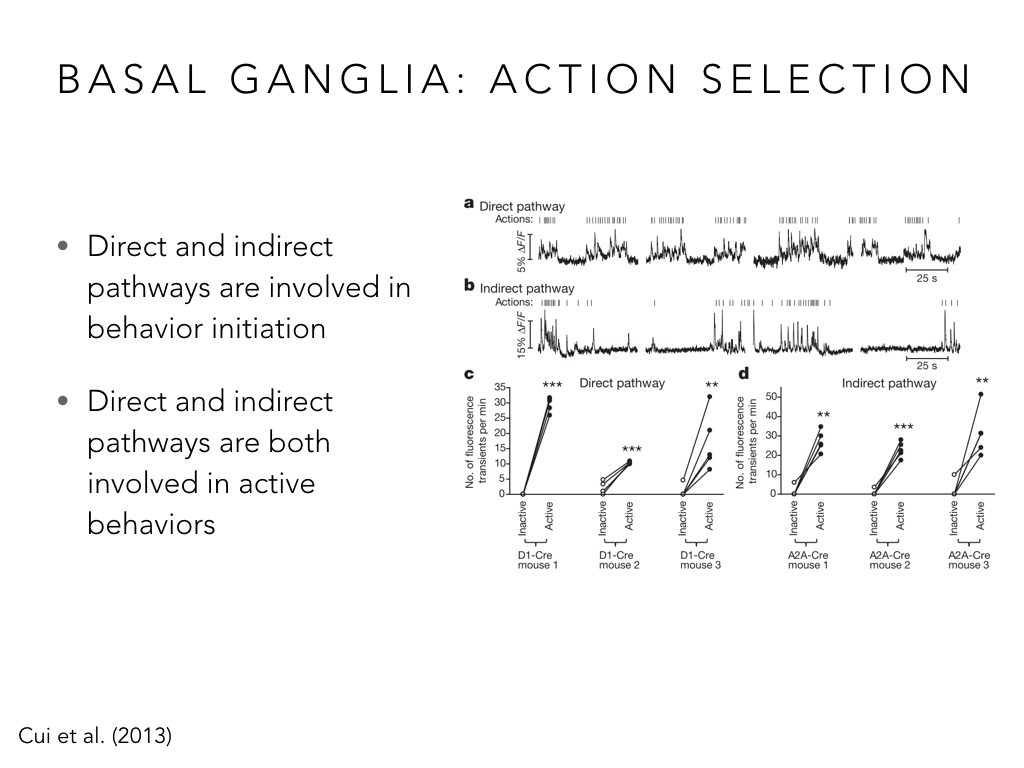 BIO222-GSI-Matt_CNS-Aspects-of-Motor-Control-II.034.jpeg