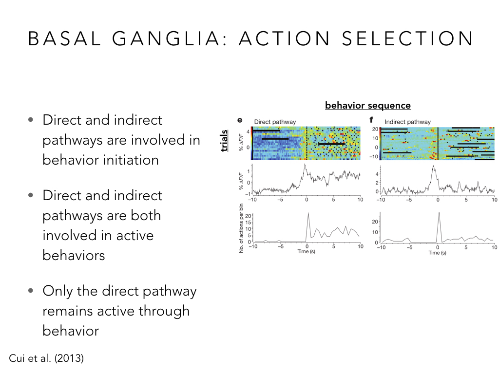 BIO222-GSI-Matt_CNS-Aspects-of-Motor-Control-II.035.jpeg