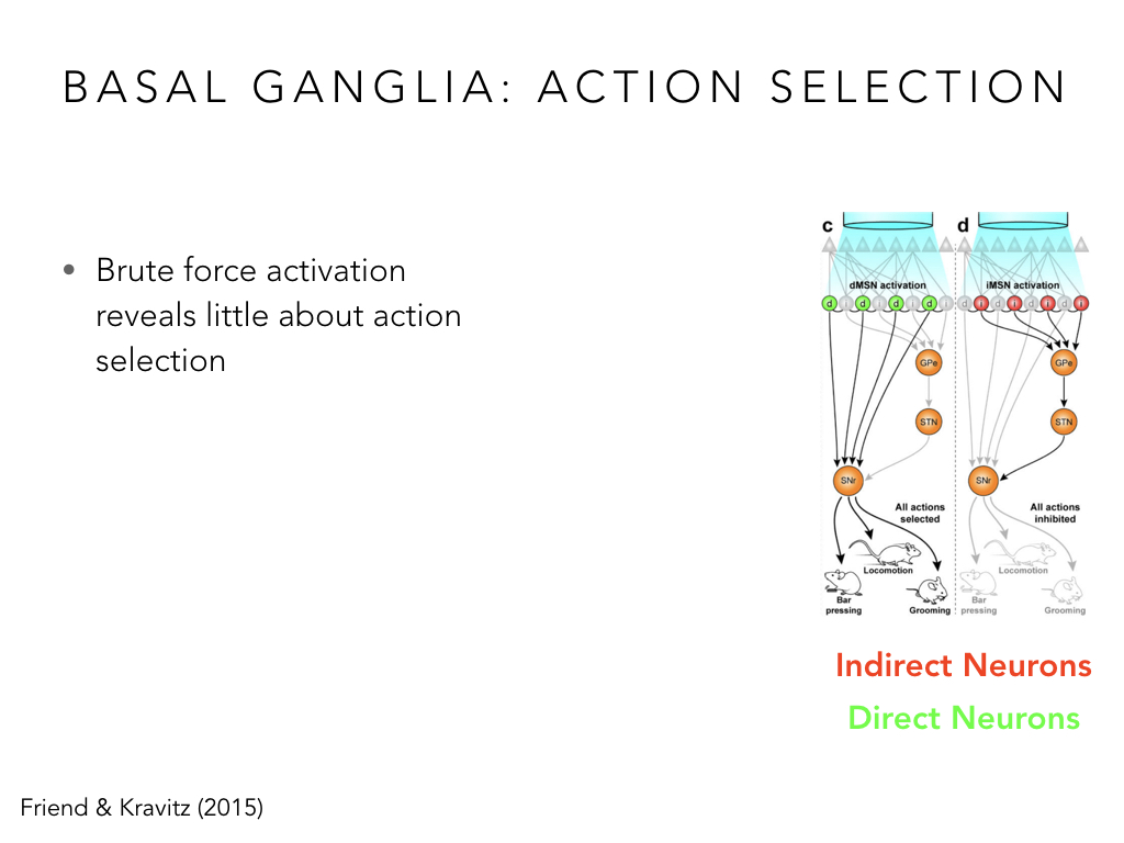 BIO222-GSI-Matt_CNS-Aspects-of-Motor-Control-II.036.jpeg