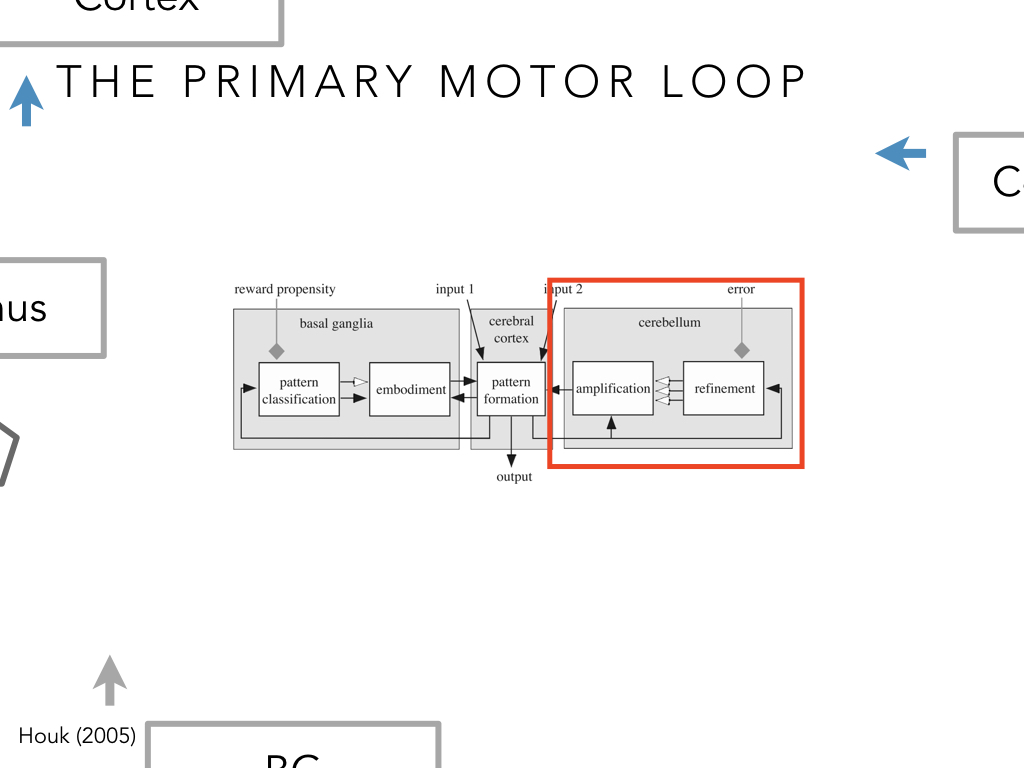 BIO222-GSI-Matt_CNS-Aspects-of-Motor-Control-II.038.jpeg