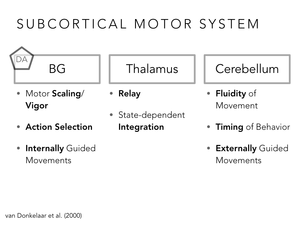 BIO222-GSI-Matt_CNS-Aspects-of-Motor-Control-II.045.jpeg