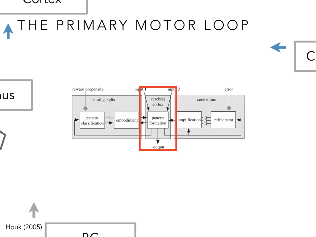 BIO222-GSI-Matt_CNS-Aspects-of-Motor-Control-II.047.jpeg