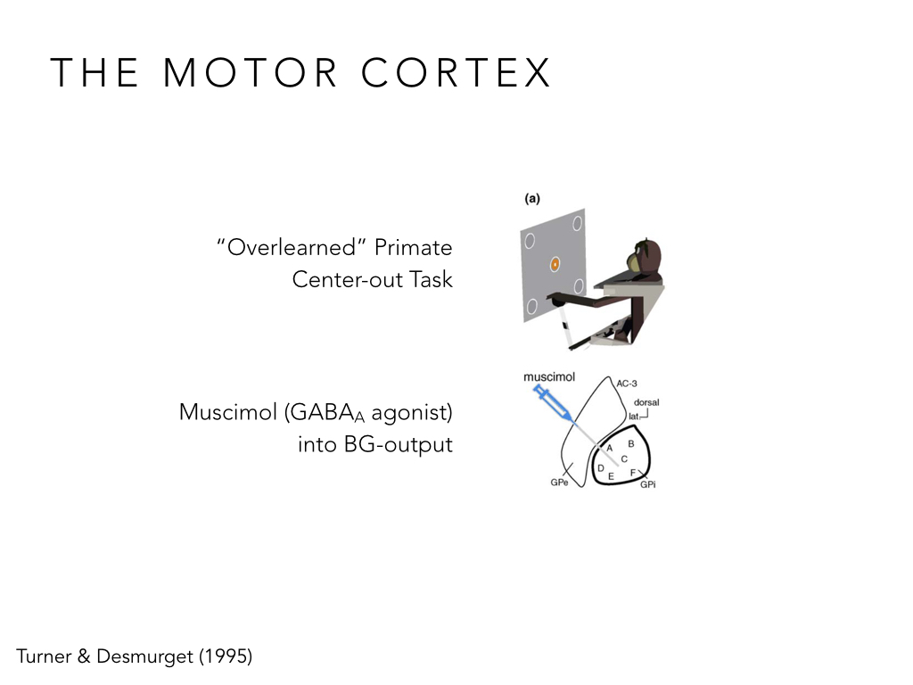 BIO222-GSI-Matt_CNS-Aspects-of-Motor-Control-II.048.jpeg