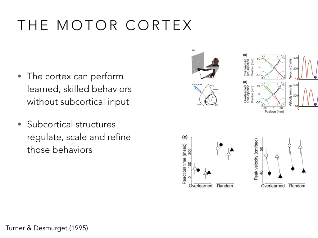 BIO222-GSI-Matt_CNS-Aspects-of-Motor-Control-II.051.jpeg