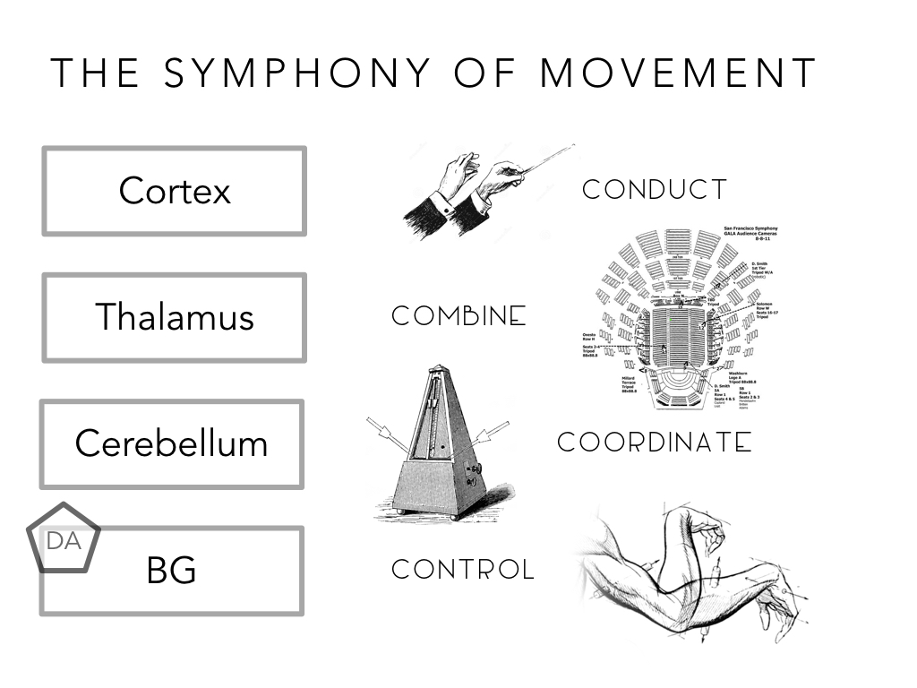 BIO222-GSI-Matt_CNS-Aspects-of-Motor-Control-II.052.jpeg