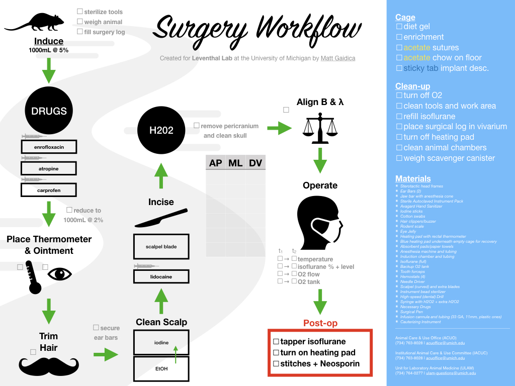 View the Surgery Workflow PDF