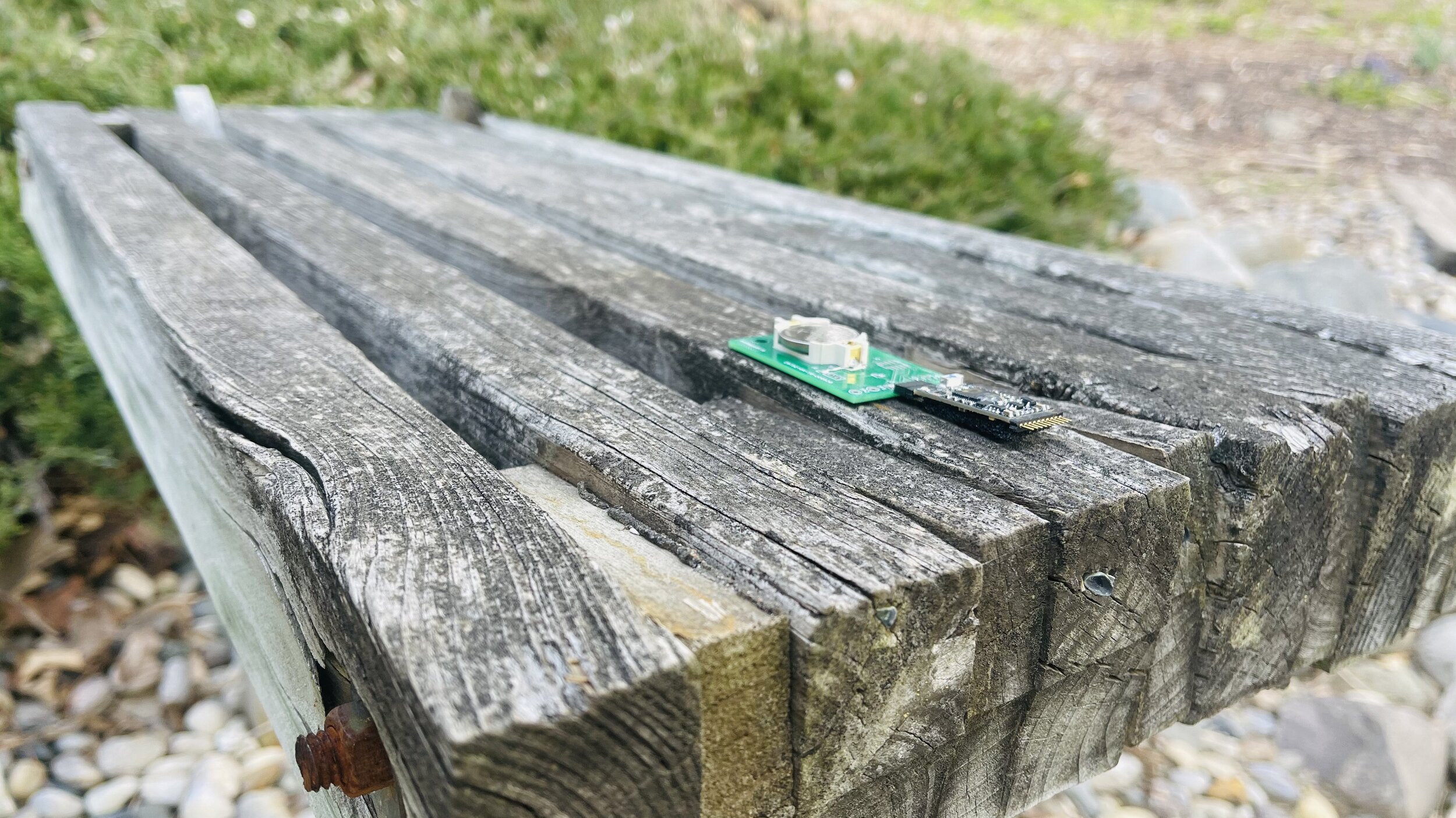 Wireless bio-logger advertising over BLE to iPhone/iOS app.