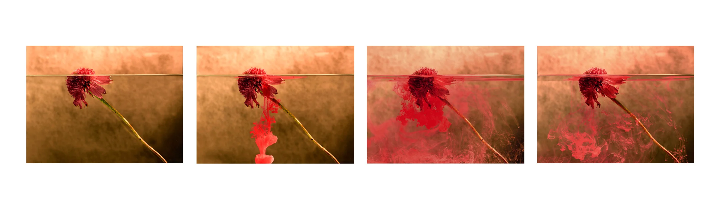 Tears-of-blood_03.jpg