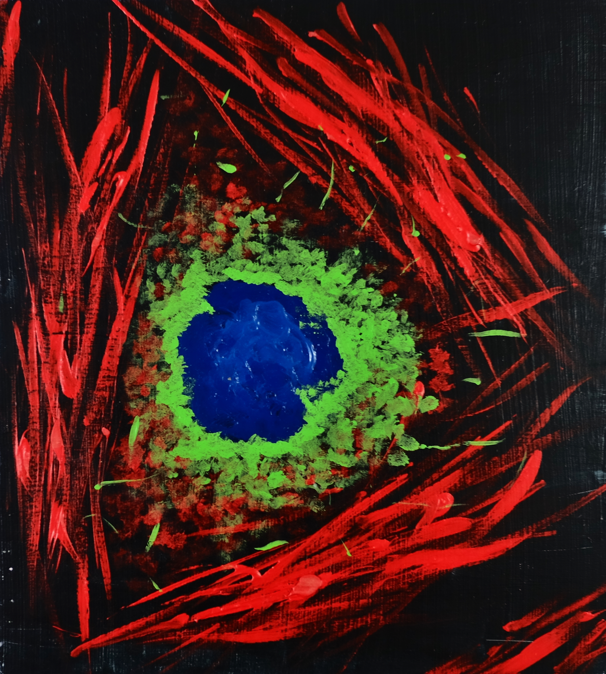 Study in Cell Exploration #3