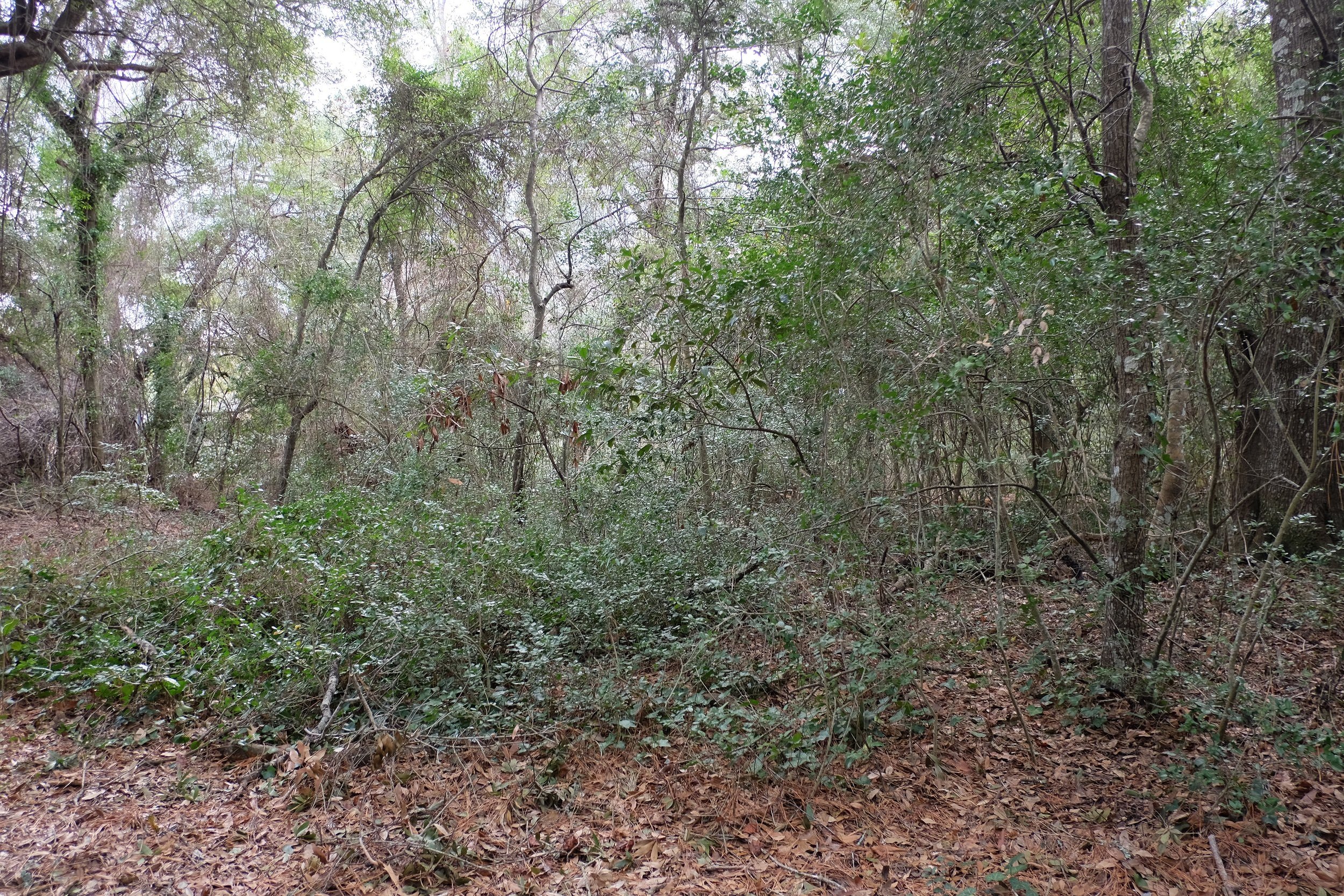 DSCF7845.JPG