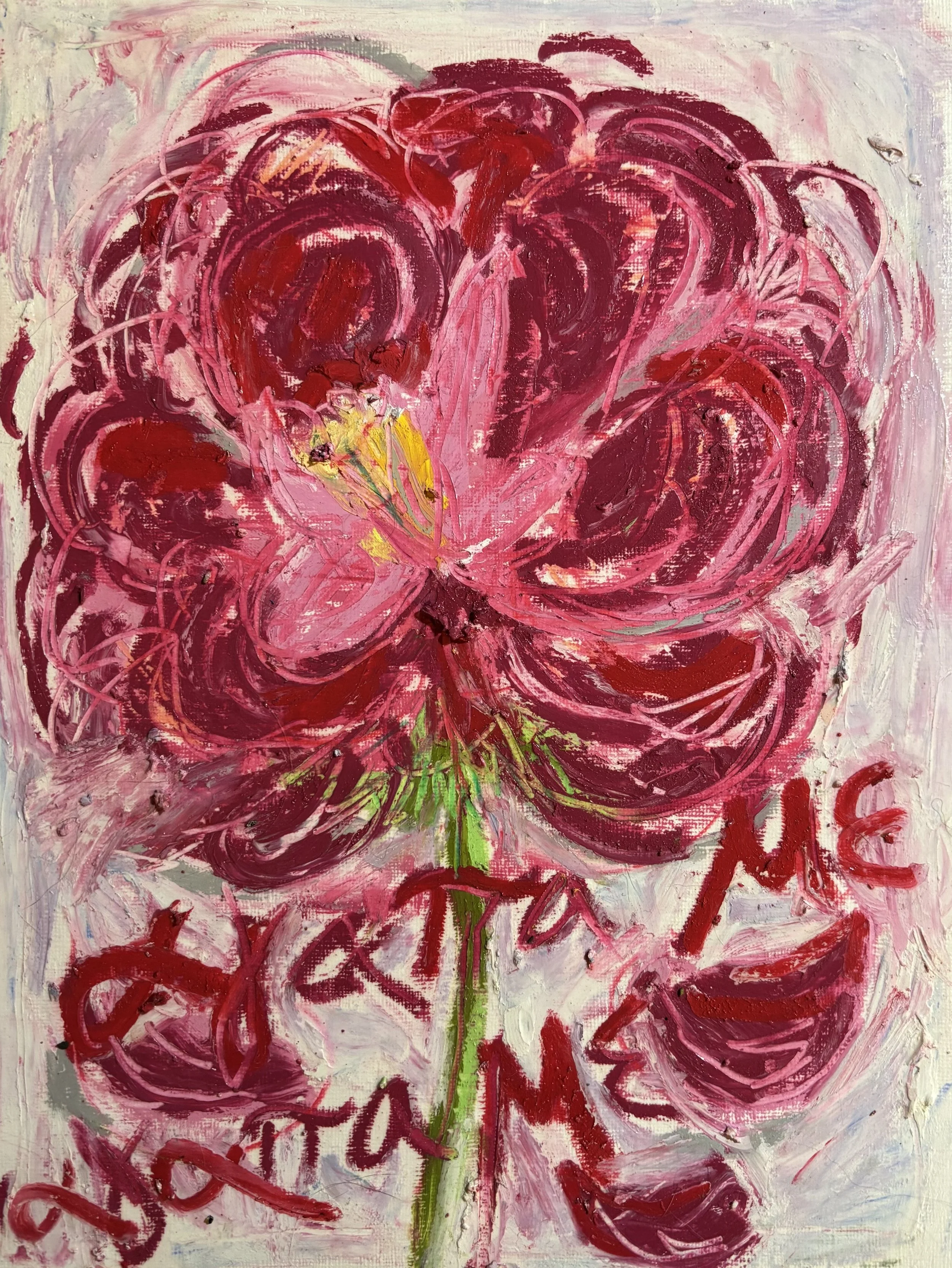 Agapa me Agapa me (She loves me, she loves me not)