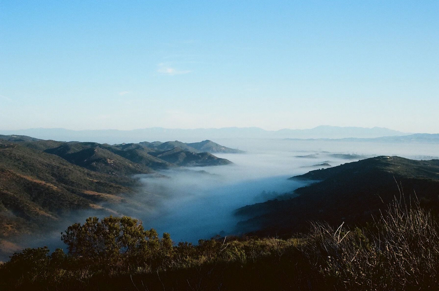 14110026 copy.JPG