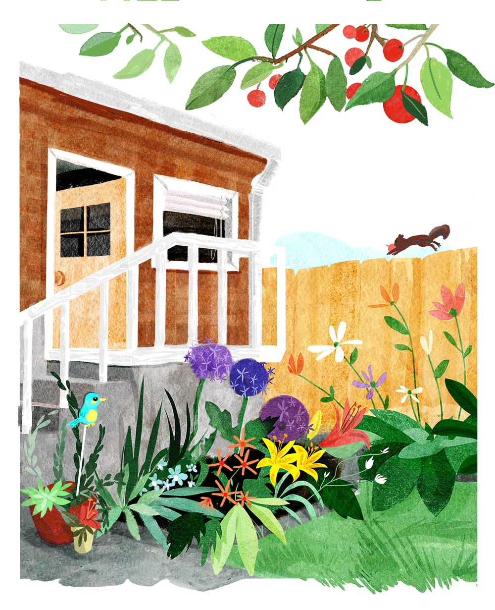cover1.gif