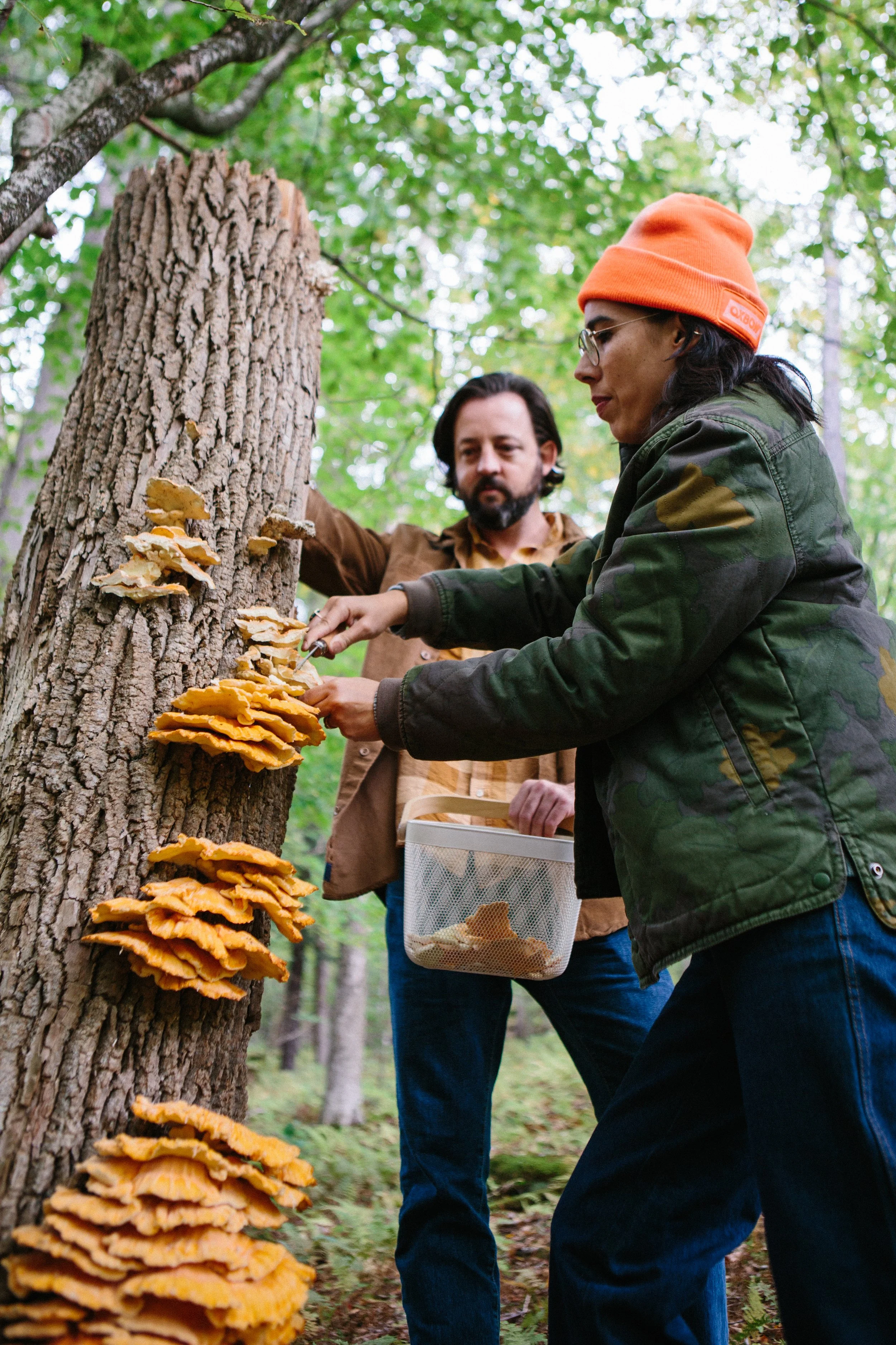 HBO x Magnolia Network