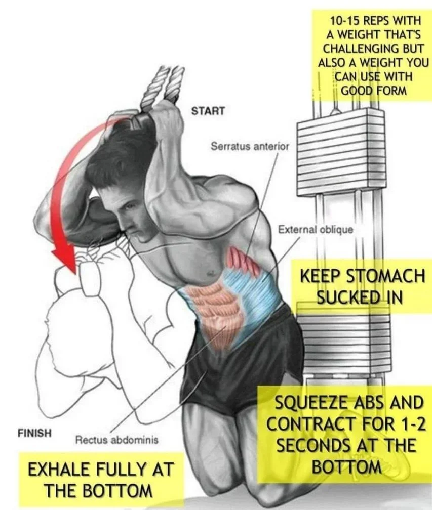 Diagram of a person performing a hanging leg raise exercise with annotations and instructions on form, including tips like keeping the stomach sucked in and exhaling fully at the bottom.