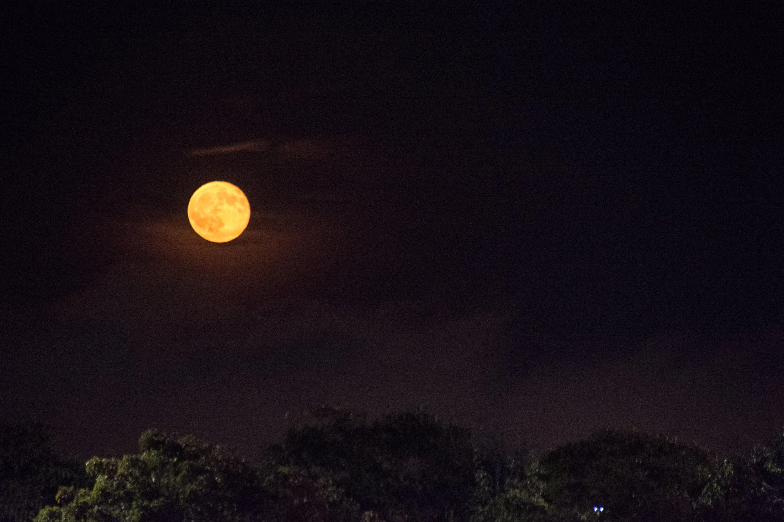 Blood Moon.jpg