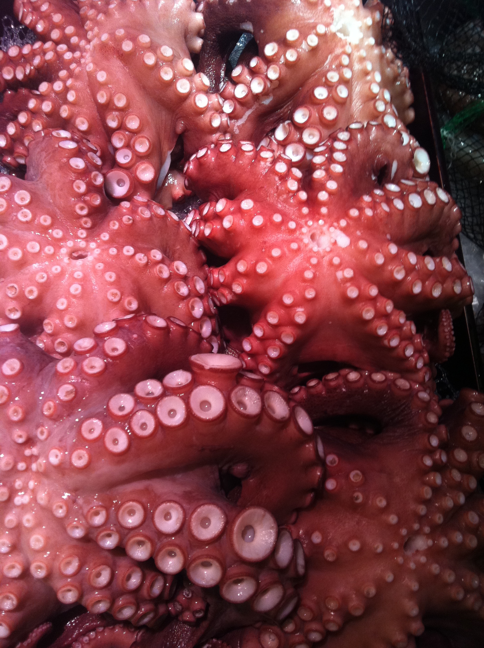 11_0319_ssg_seafood - 08.JPG