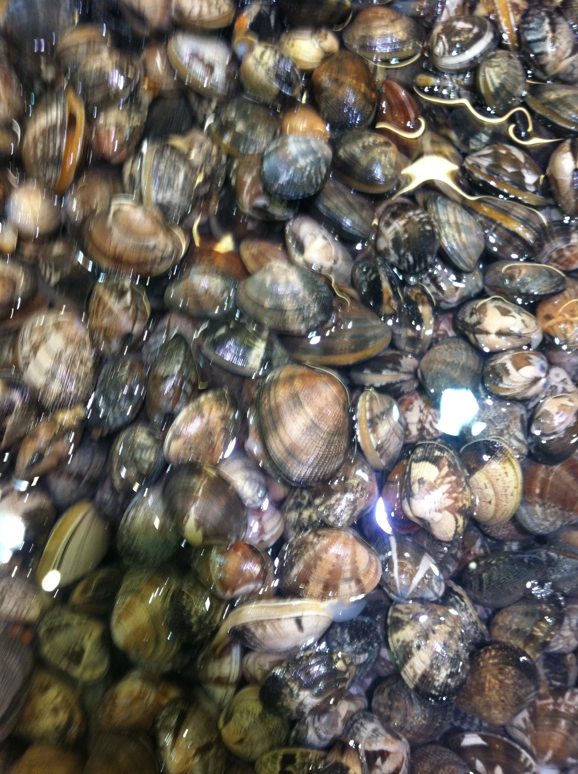 11_0319_ssg_seafood - 27.JPG