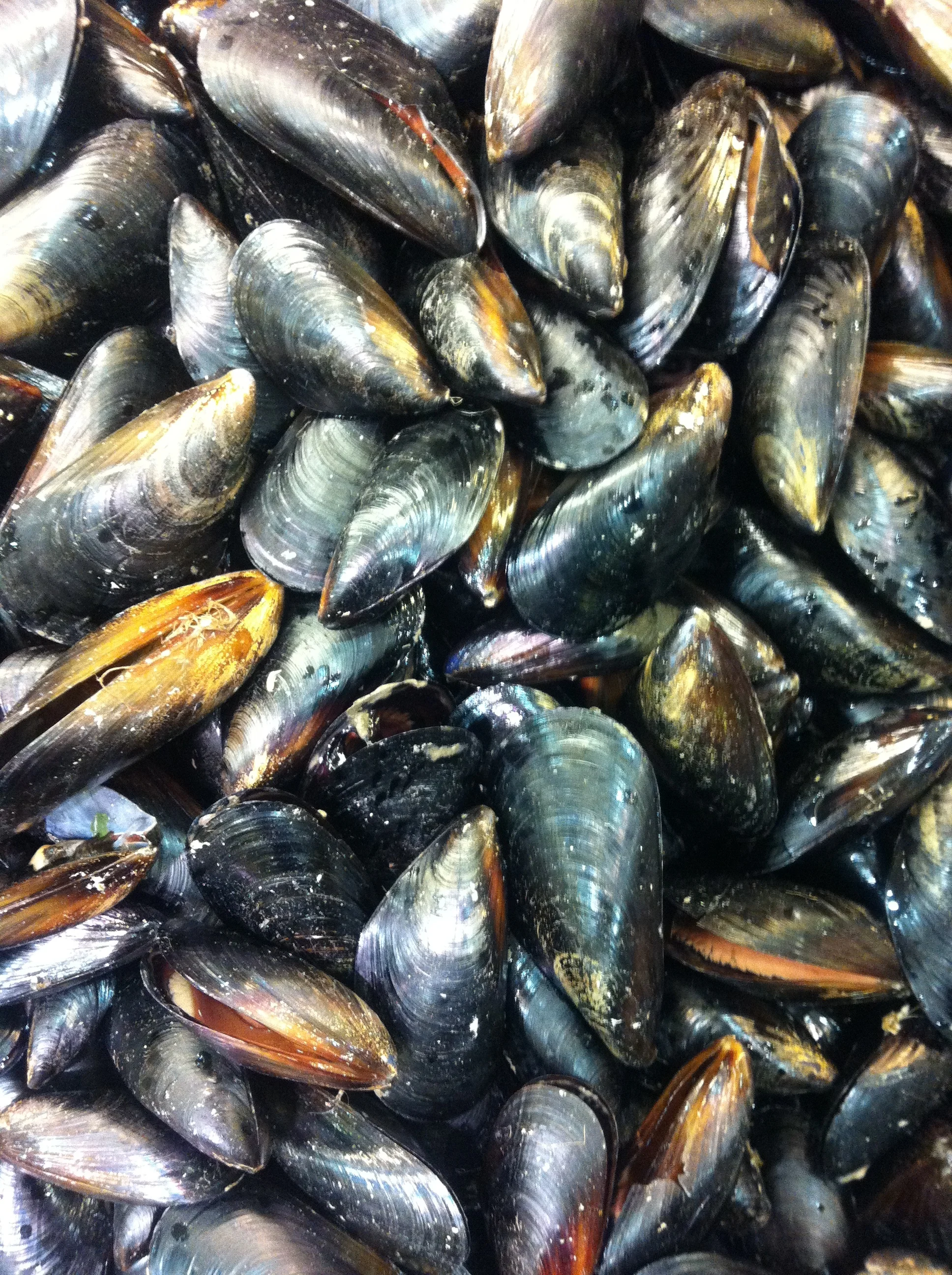 11_0319_ssg_seafood - 28.JPG