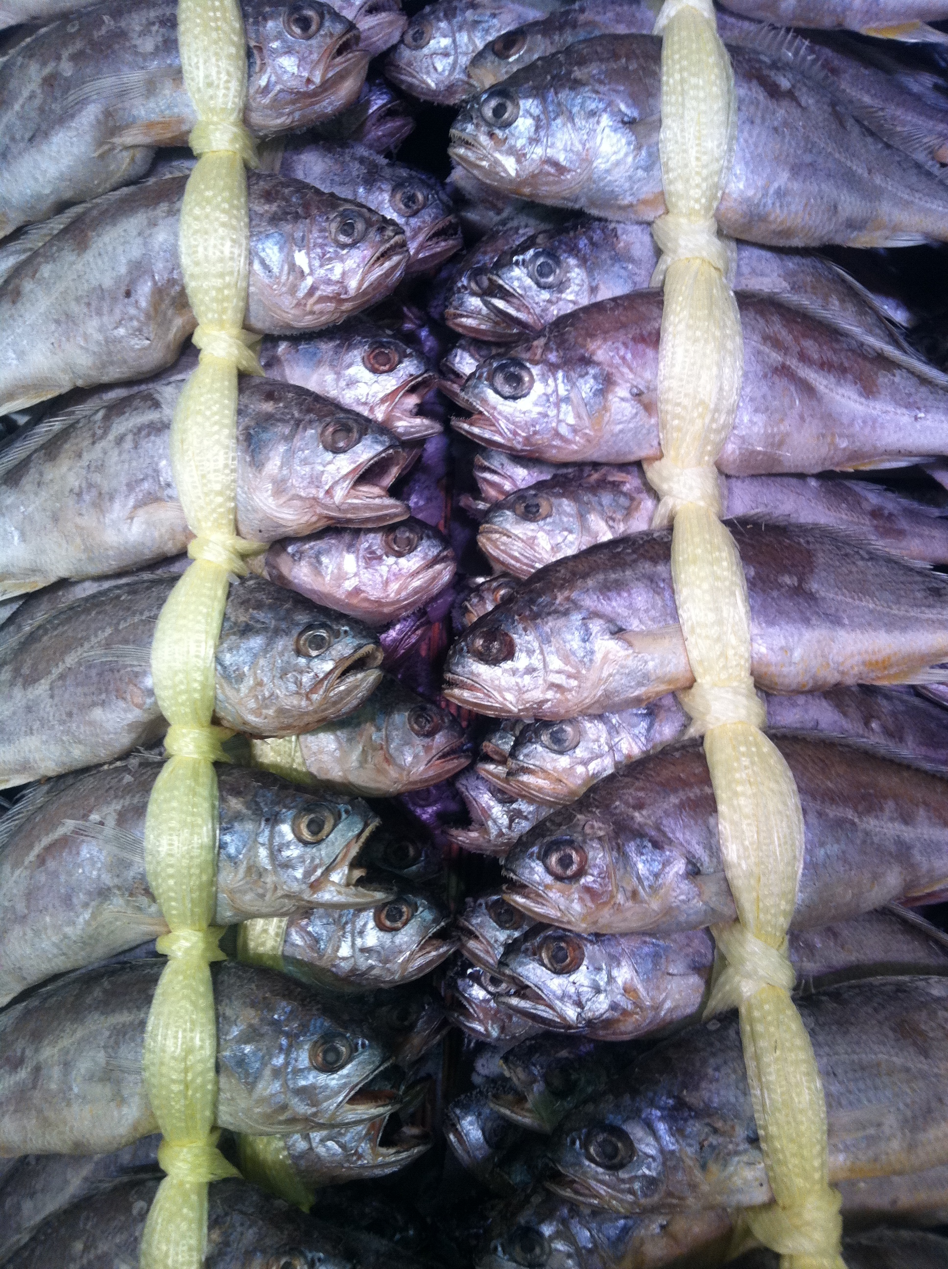 11_0319_ssg_seafood - 33.JPG