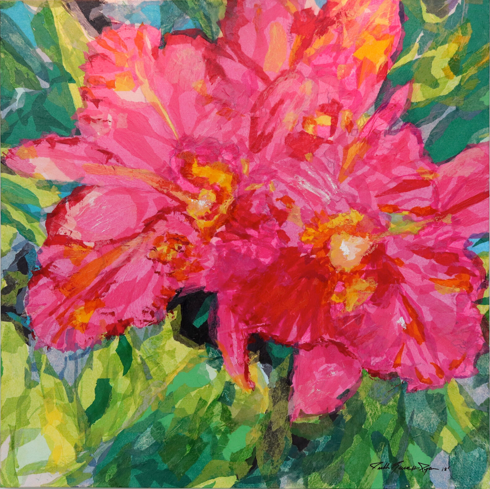 Cattleya