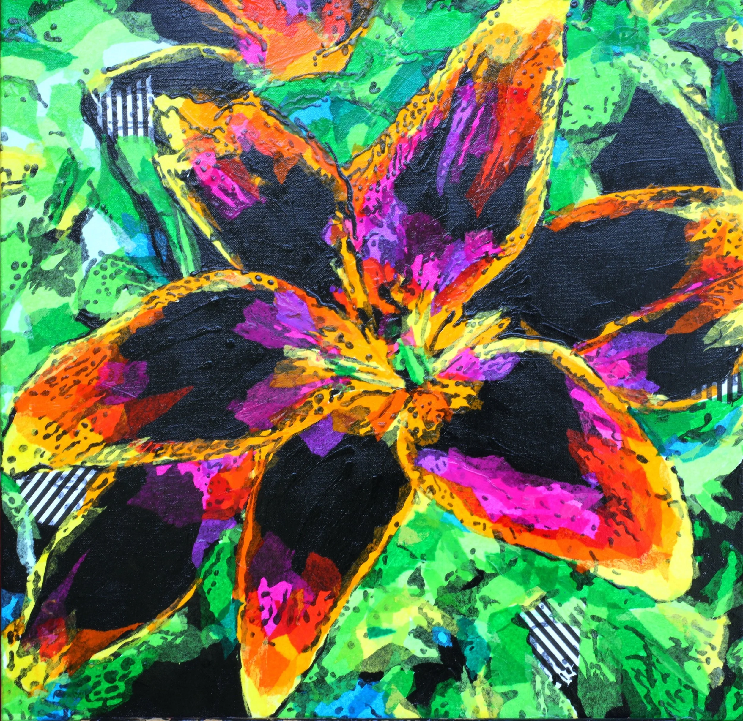 Stargazer