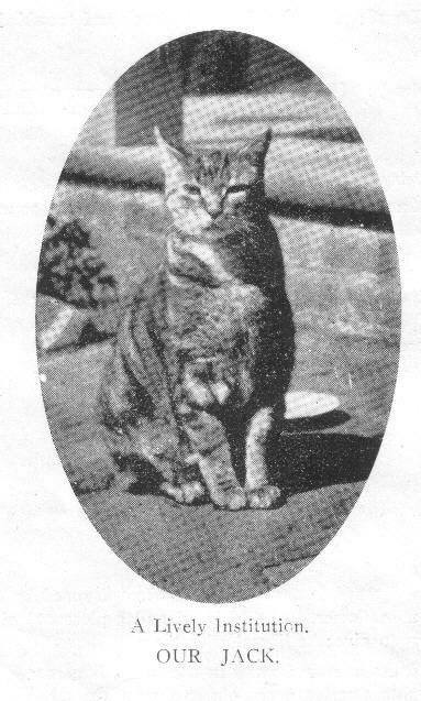 College cat Jack, 1922