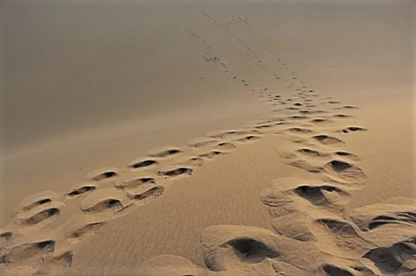 Footstps 1.jpg