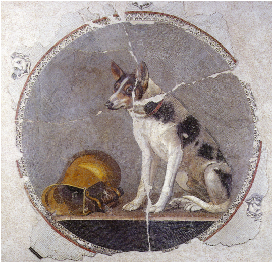 dog.png