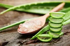 aloe vera.jpeg