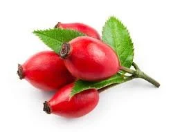 Rosehip.jpeg