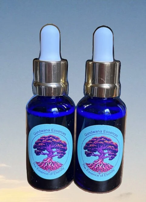 gondwana essences blue botles with background.jpg