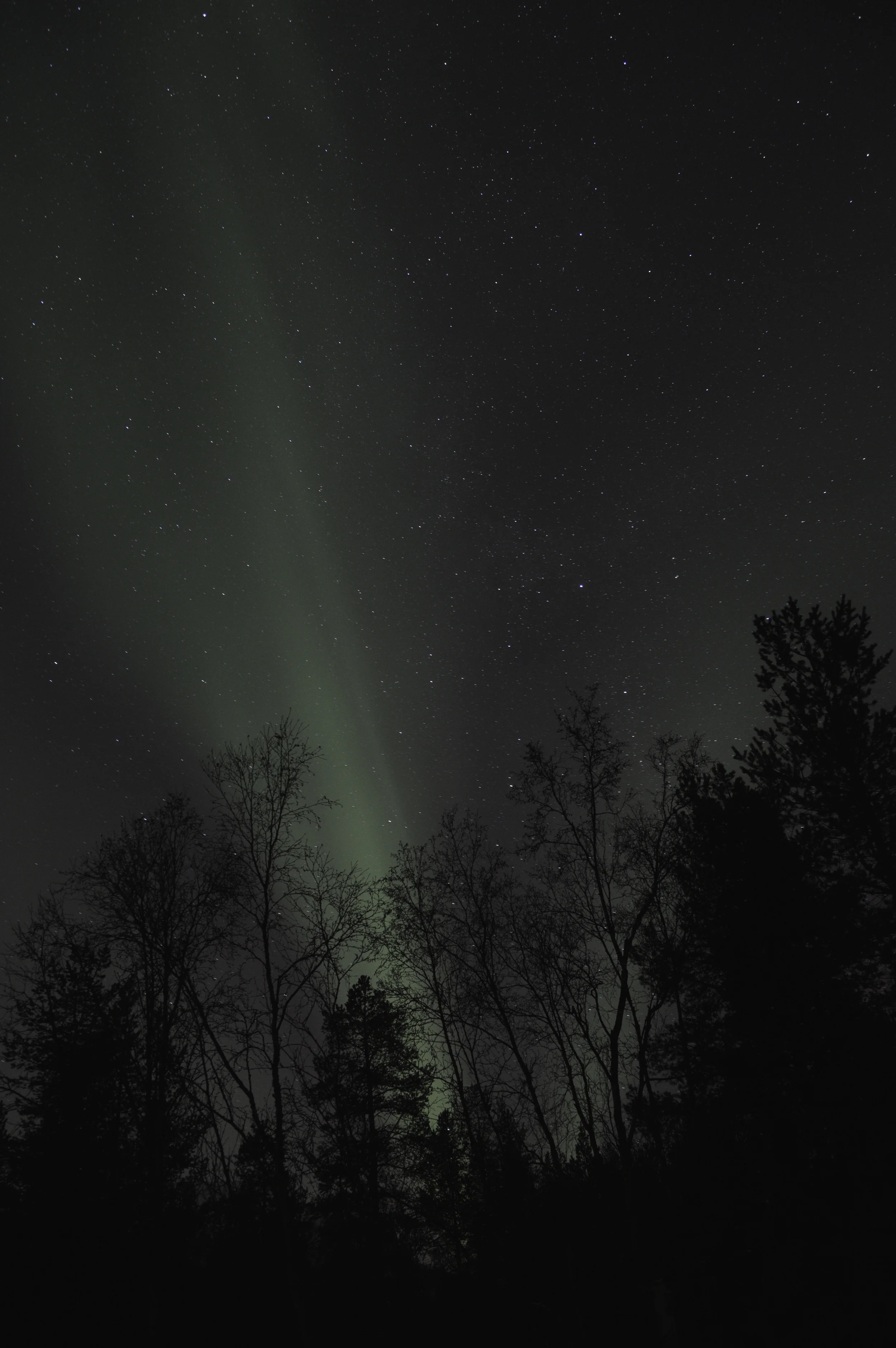 _DSC0247.JPG