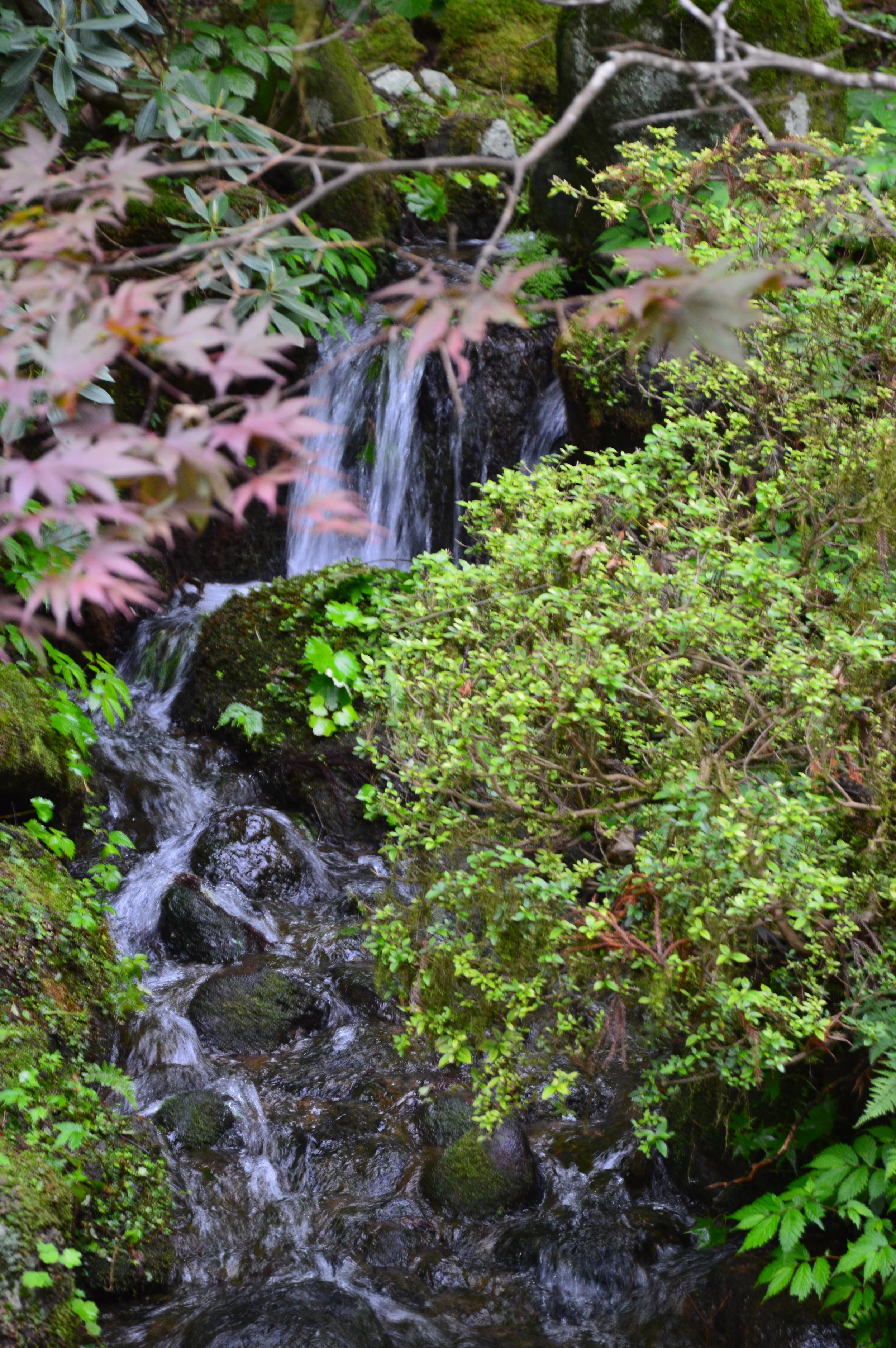 2DSC_0160.JPG