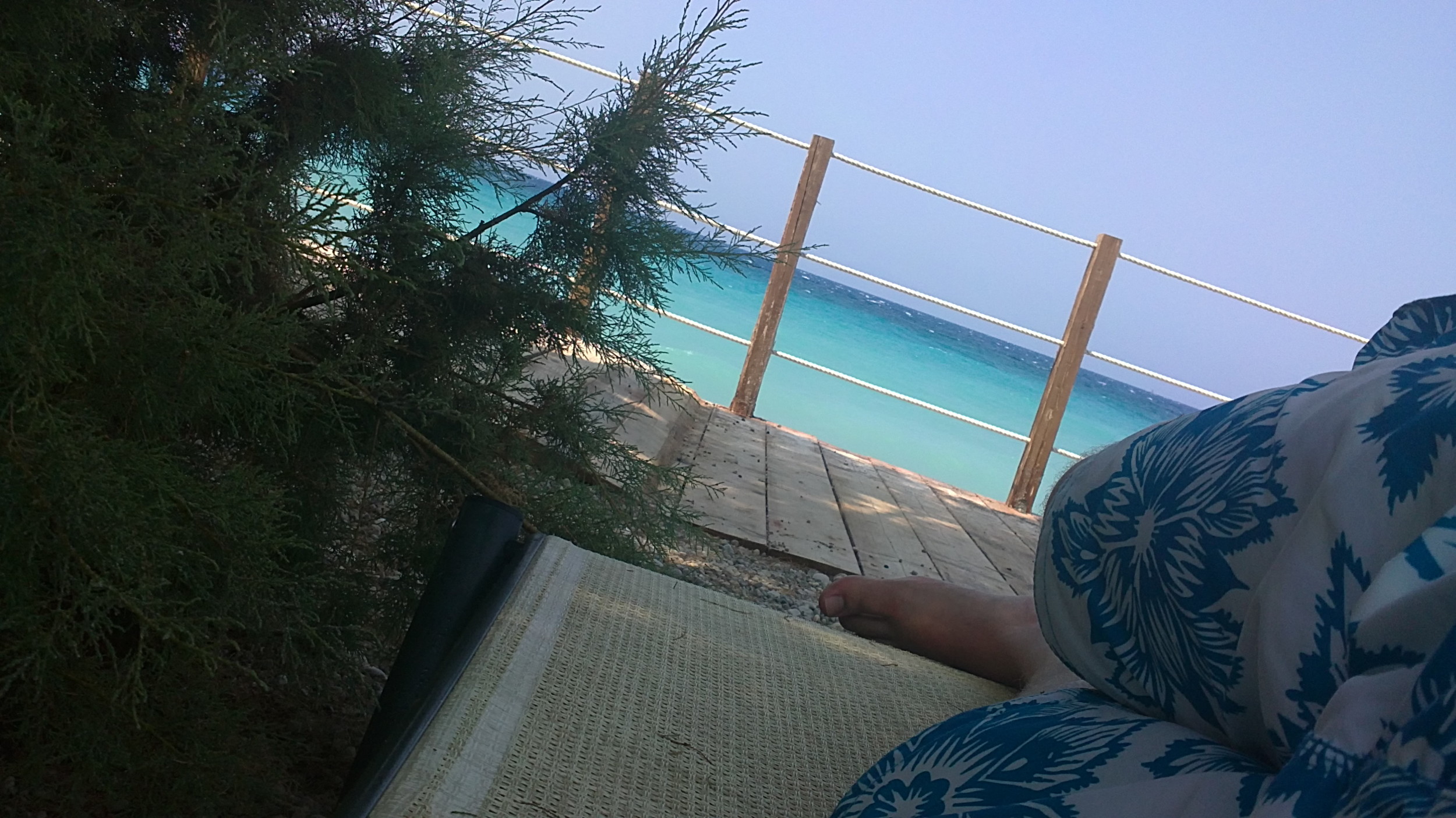 08082010675.JPG