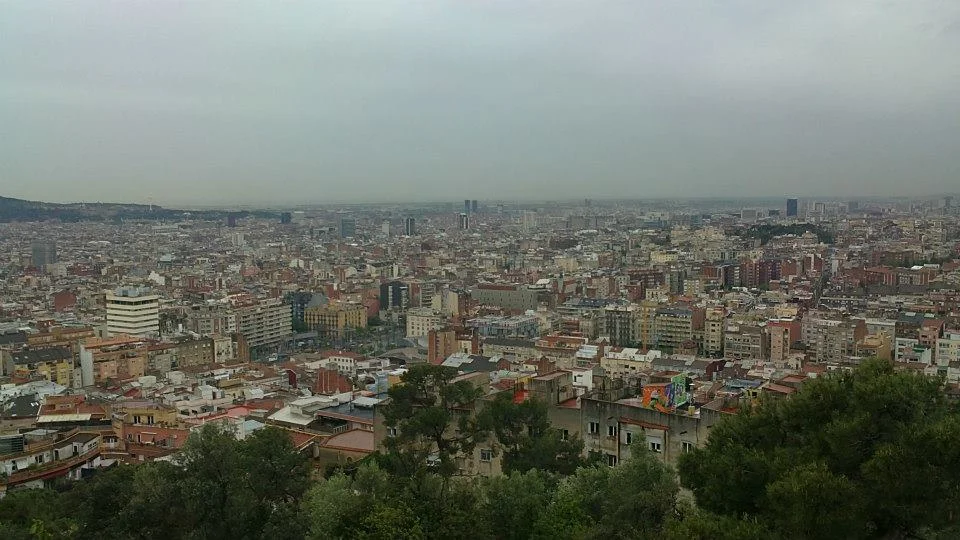 278.jpg